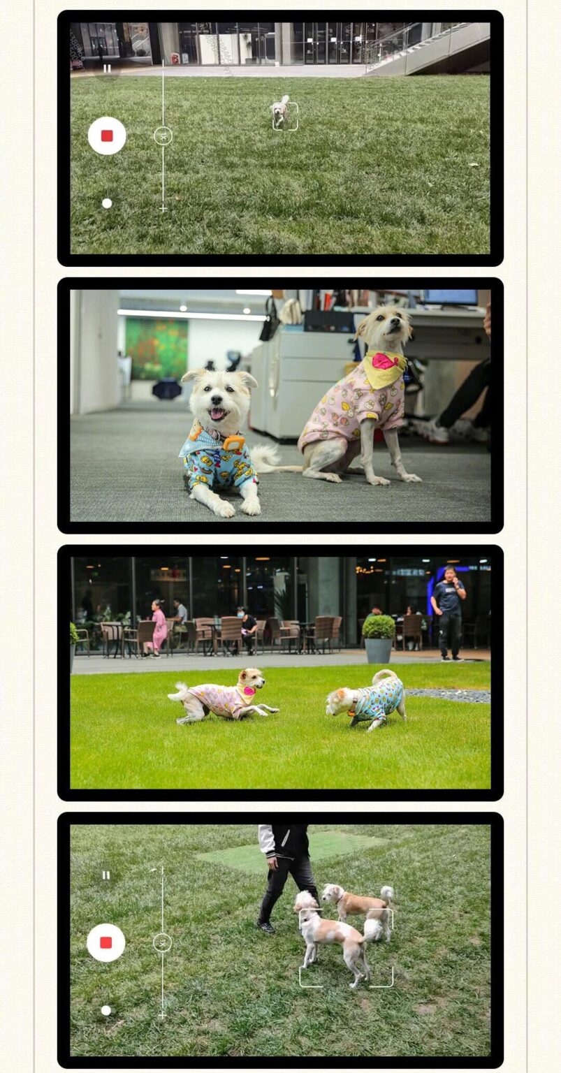 Xperiaの瞳AFに強力ライバル出現、Xiaomi 12に転用されたCyberDogのオートフォーカス技術とは